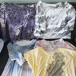 Lot of 5 size 3 Xenergy by Chico's tops EUC